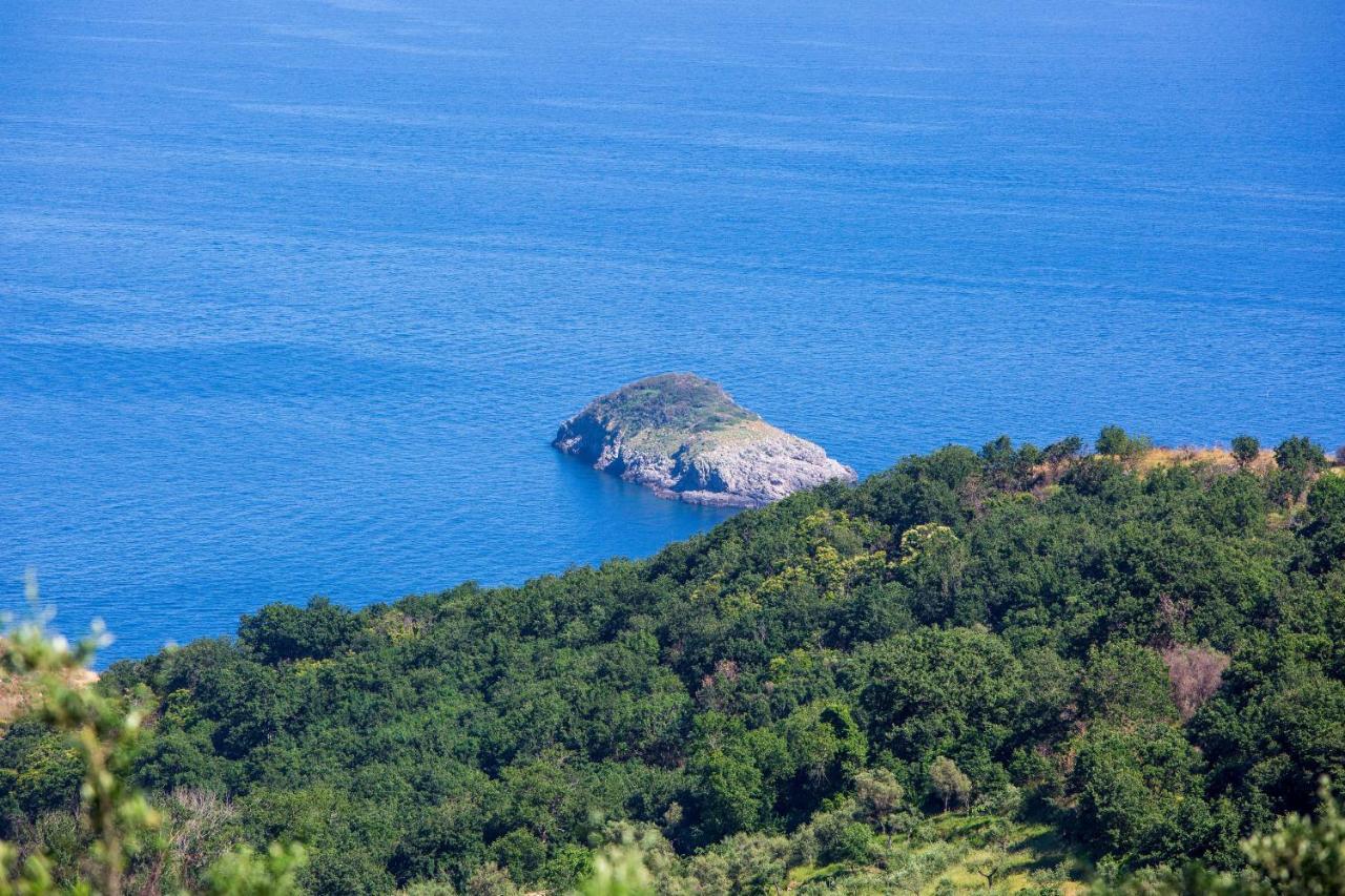 Villa Fedora Sea&Stars Massa Lubrense Εξωτερικό φωτογραφία