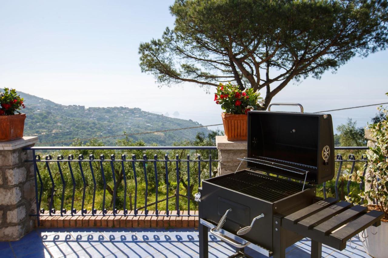 Villa Fedora Sea&Stars Massa Lubrense Εξωτερικό φωτογραφία