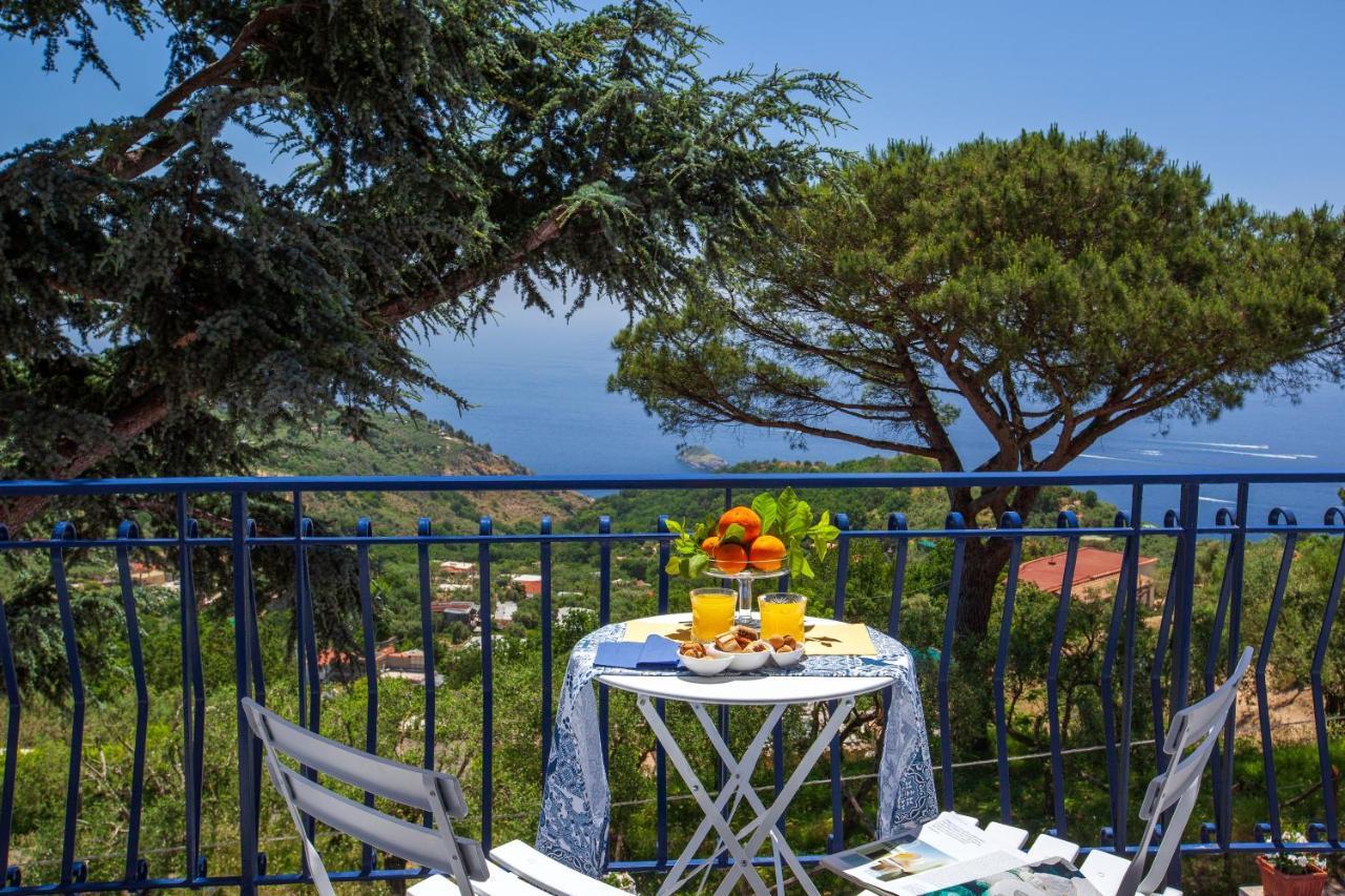 Villa Fedora Sea&Stars Massa Lubrense Εξωτερικό φωτογραφία